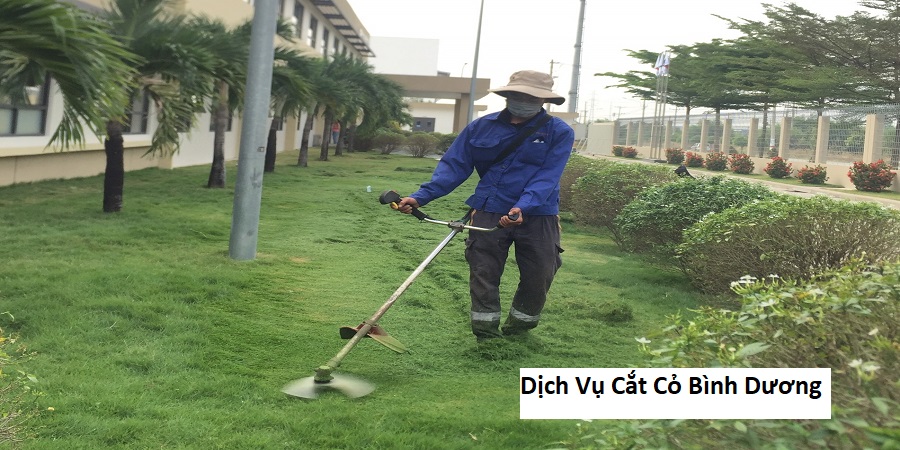 Dịch Vụ Cắt Cỏ Bình Dương
