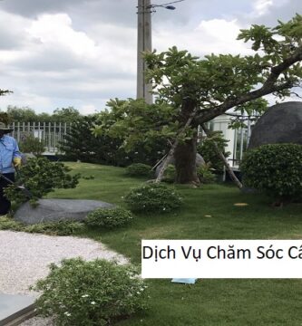 Dịch Vụ Chăm Sóc Cây Cảnh Tại Long An