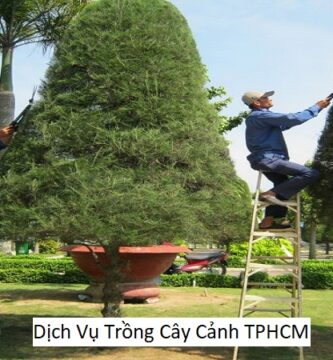 Dịch Vụ Trồng Cây Cảnh TPHCM