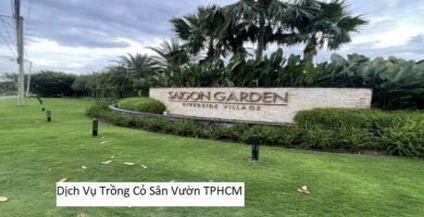 Dịch Vụ Trồng Cỏ Sân Vườn TPHCM