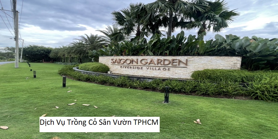 Dịch Vụ Trồng Cỏ Sân Vườn TPHCM