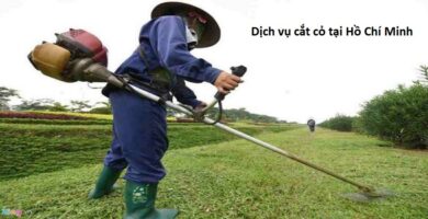 Dịch vụ cắt cỏ tại Hồ Chí Minh