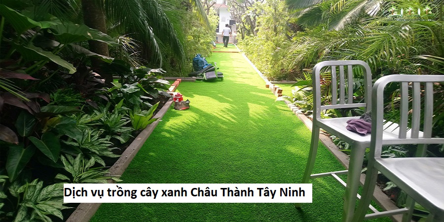 Dịch vụ trồng cây xanh Châu Thành Tây Ninh