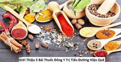 Giới Thiệu 5 Bài Thuốc Đông Y Trị Tiểu Đường Hiệu Quả