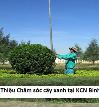 Giới Thiệu Chăm sóc cây xanh tại KCN Bình Dương