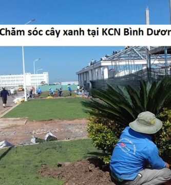 Giới Thiệu Chăm sóc cây xanh tại KCN Bình Dương