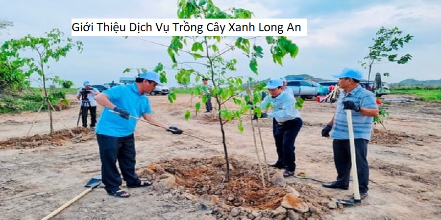 Giới Thiệu Dịch Vụ Trồng Cây Xanh Long An