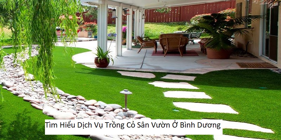 Tìm Hiểu Dịch Vụ Trồng Cỏ Sân Vườn Ở Bình Dương