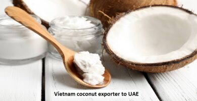 Vietnam coconut exporter to UAE
