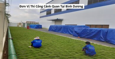 Đơn Vị Thi Công Cảnh Quan Tại Bình Dương