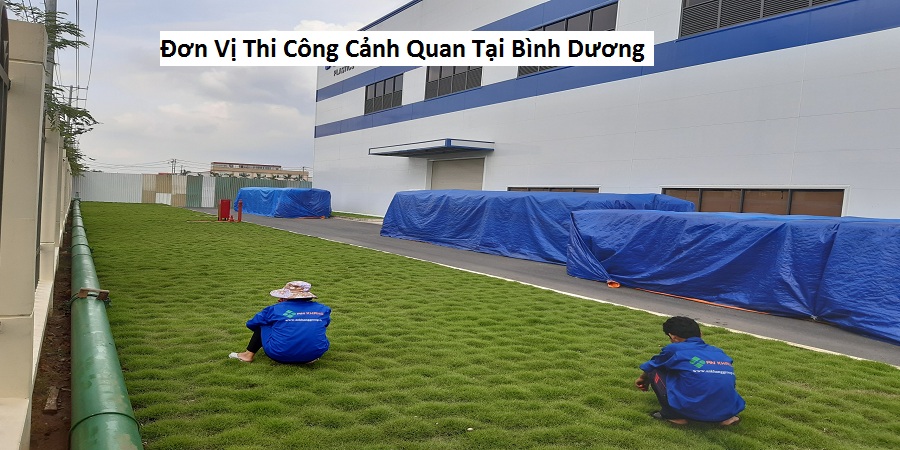 Đơn Vị Thi Công Cảnh Quan Tại Bình Dương